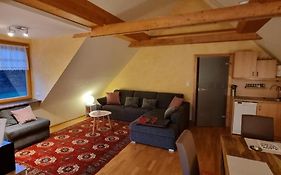 Apartment Mittelpunkt - Kaufmann